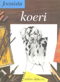 Joonista koeri