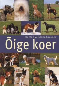 Õige koer