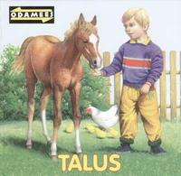 Talus
