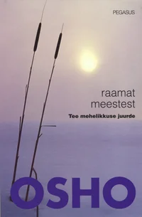 Raamat meestest