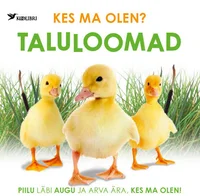 Kes ma olen?