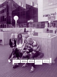 Peegel 3