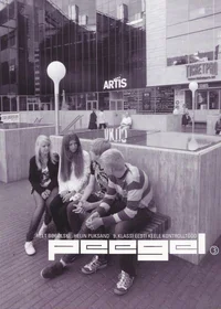 Peegel 3