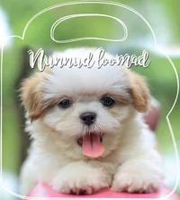 Nunnud loomad 