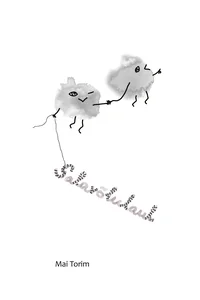 Salavõlulaul