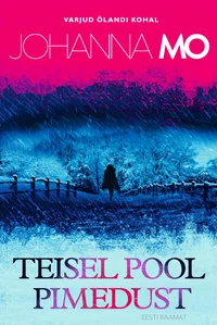 Teisel pool pimedust